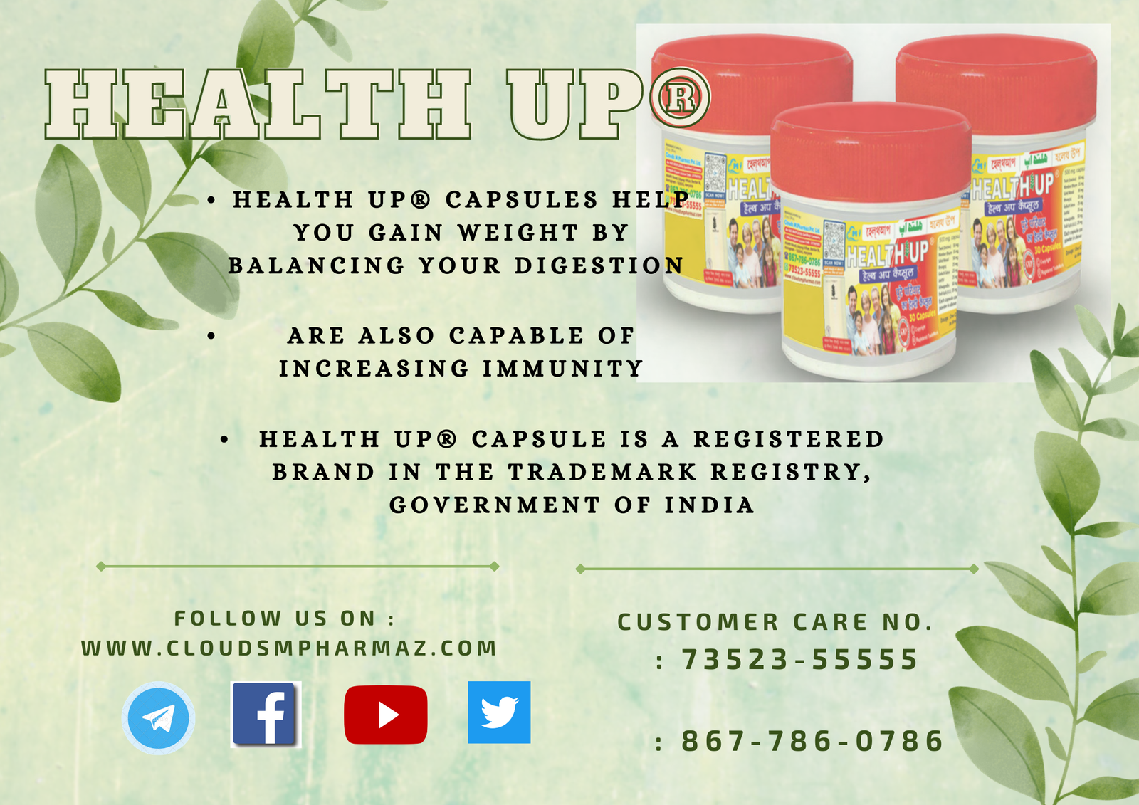 Read more about the article Health Up® Capsules: Ayurvedic Remedy for Weight Gain