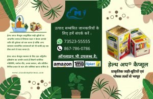 Read more about the article जानें वज़न बढ़ाना कैसे शुरू करें ?